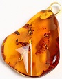 Amber Pendant Top