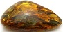 Big Genuine Natural Baltic Amber Stone