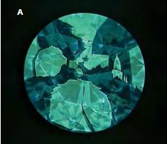 Synthetic Diamond Fluorescence