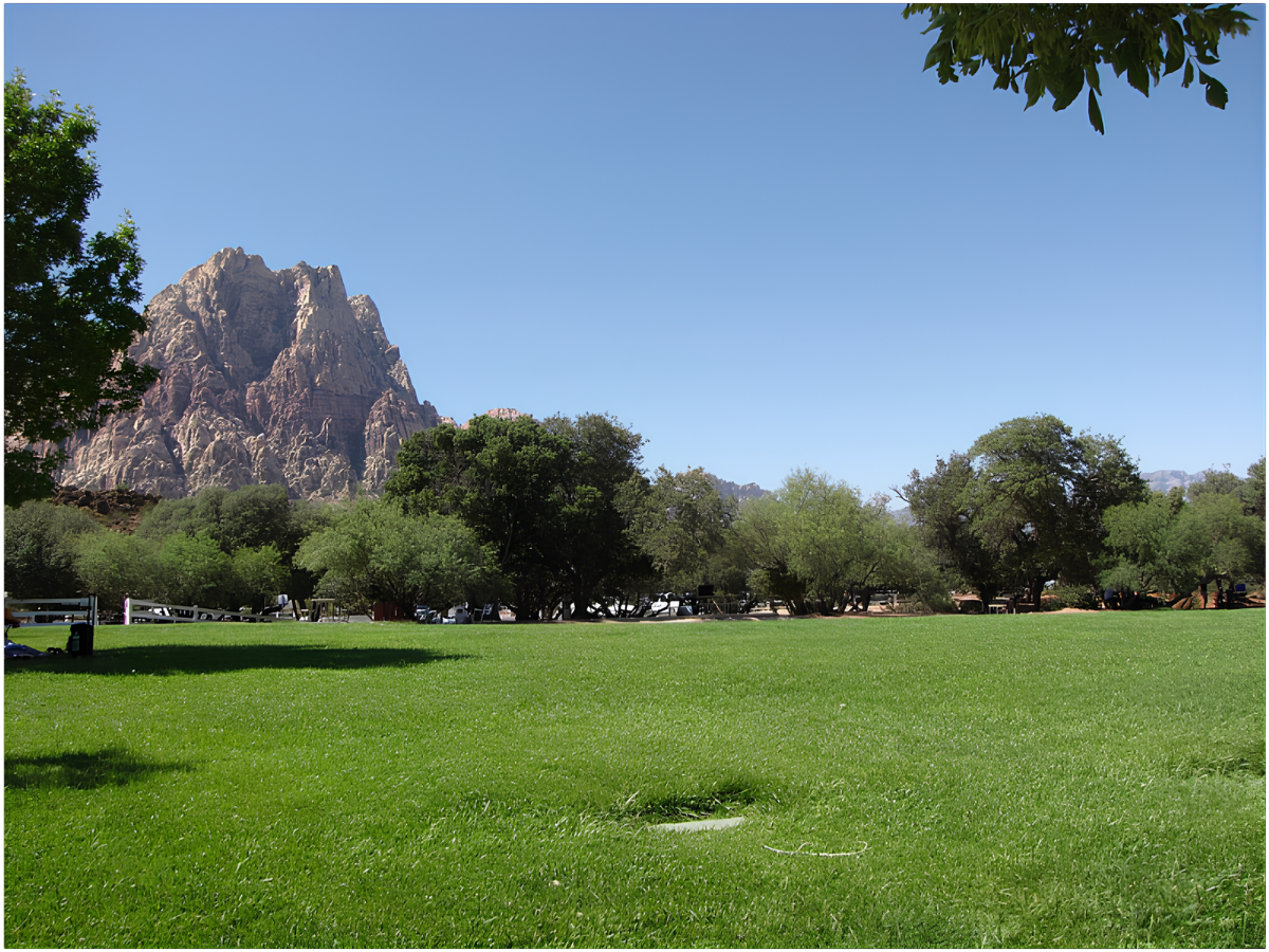 Field and mountain landscape at Spring Mountain Ranch State Park in Nevada